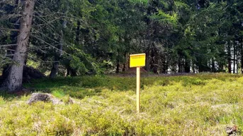 Expose Traumhaftes Baugrundstück in St. Anna am Lavantegg – Natur pur und bereit für Ihr Traumhaus!