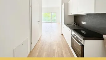 Expose Belvedere 11 | Studentenwohnung | Balkon | Gute Verkehrsanbindung | Reininghaus