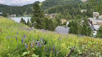 Expose Turracher Höhe - Ein Grundstück mit Seltenheitswert – ideal für eine hochwertige touristische Entwicklung. Baugrundstück für eine Apartmentanlage - DIREKT bei der Piste und der Talstation "Panoramabahn"