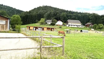 Expose KLEINLANDWIRTSCHAFTLICHES JUWEL! CA. 10 HEKTAR WALD! WIESEN! BETRIEBSFLÄCHEN!
