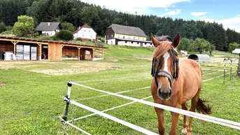 Expose KLEINLANDWIRTSCHAFTLICHES JUWEL! CA.10 HEKTAR WALD! WIESEN! BETRIEBSFLÄCHEN!