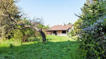 Expose Hammerpreis! Ideal für Bauträger! Baubewilligtes Baugrundstück umgeben von Ruhe und Idylle an der Stadtgrenze von Wien! TOP PREIS - Worauf warten Sie noch?