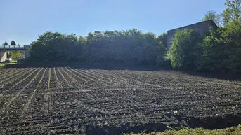 Expose Sensationelles Bauträgergrundstück mit attraktiver Planstudie im Zentrum von Stainz, in bester Lage!!!