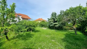 Expose WOW! Erfüllen Sie Ihren Traum vom eigenen Haus! 8 Zimmer + Riesiger Garten + Viel Grün + Traumterrasse mit Fernblick! Mehr Lebensqualität - Mehr vom Leben! Jetzt zugreifen!