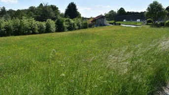 Expose Wunderbares Bauträgergrundstück in Bestlage Nähe 8301 Laßnitzhöhe