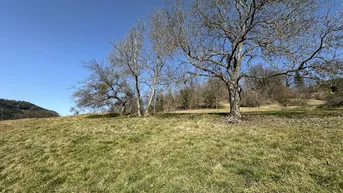 Expose 7 Parzellen verfügbar - Tolles Baugrundstück am Sonnenhang in Prenning bei Deutschfeistritz – 3.700 m², aufteilbar in 7 Parzellen