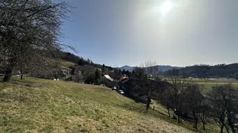 Expose Einzigartiges Baugrundstück in Prenning bei Deutschfeistritz – 3.700 m², aufteilbar in 7 Parzellen