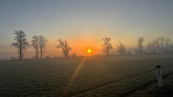 Expose ++ SELTENE GELEGENHEIT ++ GENIAL für PFERDEHALTUNG ++ BAUERNHOF mit ca. 7 HA Landwirtschaftlicher Fläche und Wald ++ NEBENGEBÄUDE++ NÄHE GRAZ++