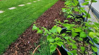 Expose Secret Garden - Erstbezug! TOP saniert + Herrlicher Eigengarten + Hofseitiger Balkon + Viel Grün + Viel Lebensqualität + Absolute Ruhelage + Ideale Raumaufteilung! Besser geht´s nicht! Nicht lange zögern...