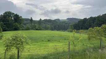 Expose ++ SELTENE GELEGENHEIT ++ GENIAL für PFERDEHALTUNG ++ BAUERNHOF mit ca. 7 HA Landwirtschaftlicher Fläche und Wald ++ NEBENGEBÄUDE++ NÄHE GRAZ++