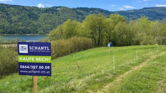 Grünes Grundstück mit Verkaufsplakat, umgeben von Wald und einem See im Hintergrund.