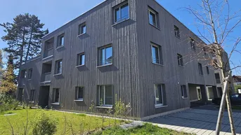 Modernes Mehrfamilienhaus mit Holzfassade und gepflegter Grünfläche unter blauem Himmel.