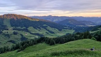 Expose Große Alpe mit Bergwiesen und Wald sowie Sennerei und Wohnräume!