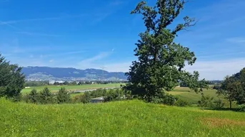 Expose Exklusives Baugrundstück 1338m² am Gitzebühel in Koblach mit bester Sicht auf die Schweizer Bergwelt!