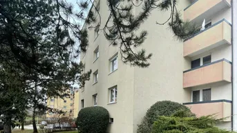 Expose Am Rande des Hummelhofwaldes! Günstige 1-Raum-Wohnung!