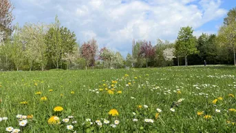 Expose Quartier am Park: Barrierefreie Wohnung im obersten Stock mit Ausblick