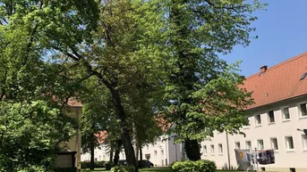 Expose Eine Wohlfühloase im Grünen wartet auf Sie! Umfassend sanierte 2 Zimmer-Wohnung mit außergewöhnlichem Grundriss, praktischem Abstellraum und tollem Badezimmer! Perfekte Infrastruktur vorhanden!