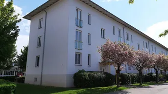 Expose Seltene Gelegenheit in begehrter Lage! Gemütliche 2-Zimmer Wohnung mit bodentiefen Fenstern, praktischem Abstellraum UND kostengünstigem Parkplatz direkt vor der Haustüre!