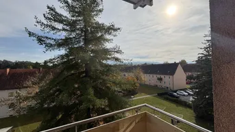 Expose Sonnige Aussichten in ruhiger Grünlage: großzügige 2-Zimmer-Wohnung mit gemütlichem Balkon, moderner Dusche und heller Küche im 3. OG (inkl. Aufzug) – ideal für Singles oder Paare in Steyr-Münichholz!