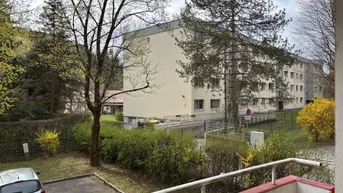 Weiterer Balkonblick auf eine grüne Landschaft mit Bäumen, Hecken und anderen Wohngebäuden.