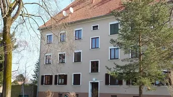 Expose PROVISIONSFREI - Leibnitz - Miete - 2 Zimmer 