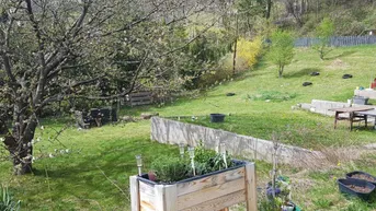 Expose Zwei Wohneinheiten mit eigenem Wald – Naturparadies in Gloggnitz!
