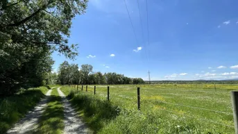 Expose Top gepflegte Reitanlage im idyllischen Südburgenland – Verwirklichen Sie Ihren Traum!