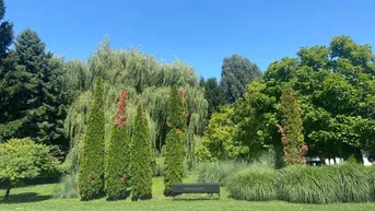 Expose Entzückendes Ferienhaus am Römersee