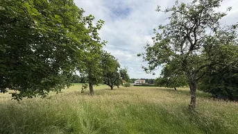 Expose Eindrucksvolle Hofstelle in Alleinlage – Idyllisches Ensemble in der Südoststeiermark
