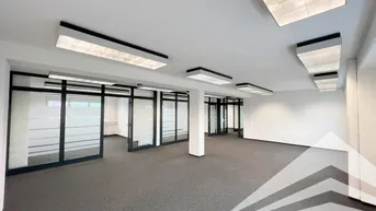 Expose Klimatisiertes 235 m² Büro mit Schauraum/Lager am Franzosenhausweg! Parkplätze!