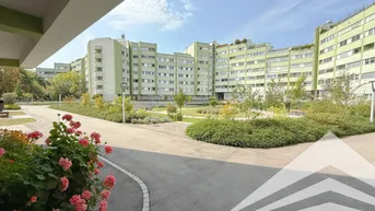 Expose Sanierungsbedürftige 4,5 Zimmerwohnung mit 118 m² in Dornach - TG inklusive!