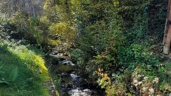 Expose Für Naturliebhaber und Heimwerker- sanierungsbedürftiges Bauernhaus mit Nebengebäuden - zwischen Hermagor und Villach