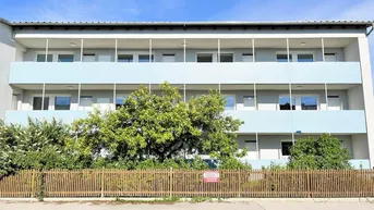 Expose [06619] Attraktives Zinshaus mit 13 Wohneinheiten in Wiener Neustadt