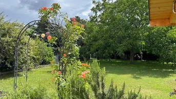 Expose +++ TOP PREIS! - RARITÄT: ABSOLUT RUHIGE GARTENIDYLLE ( alter Baumbestand ) Wohnhaus mit Wintergarten - Lebensqualität pur, modernes Bad und Küche +++
