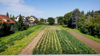 Expose Sehr gepflegte 3 Zimmerwohnung mit Fernblick