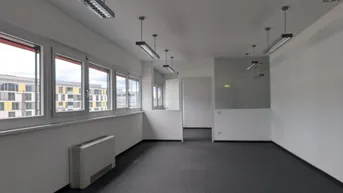 Leerer Büroraum mit großen Fenstern, Teppichboden und Deckenbeleuchtung, bietet viel natürliches Licht.