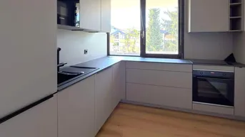 Moderne Einbauküche in Grau mit integrierten Geräten und Fenster für Tageslicht.