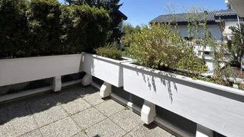 Gefliester Balkon mit großen Pflanzkübeln und Blick ins Grüne.