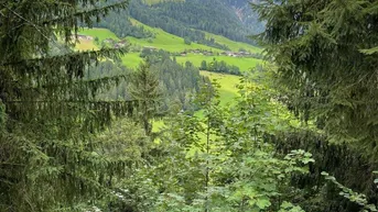 Expose WALD - Bereich Reith im Alpbachtal &amp; Alpbach