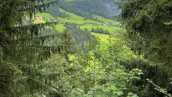 Expose WALD - Bereich Reith im Alpbachtal &amp; Alpbach