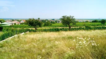 Expose Grundstück zum Verlieben mit Seeblick