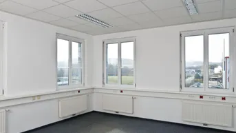 Helles und geräumiges Büro mit Teppichboden, vielen Fenstern und weitem Blick ins Grüne.