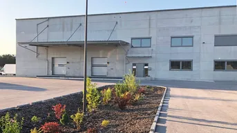 Expose Top-Halle+Büro (Food)! 15.000 m² Grund! A2 Wr. Neustadt!