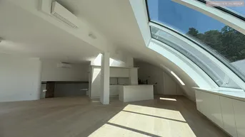 Expose 3 Terrassen mitten in Döbling samt Wohnung von 180m2
