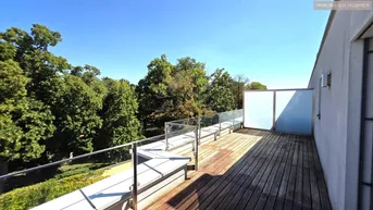 Expose Maria Enzersdorf - Schlosspark!!! Stylische Neubauwohnung + MEGA Dachterrasse + Grün- und Weitblick!