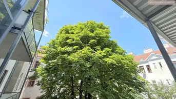 Blick auf einen großen, grünen Baum und die umliegenden Gebäude unter blauem Himmel.