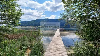 Langer Holzsteg führt in den See, umgeben von Schilf und grünen Bäumen unter blauem Himmel.