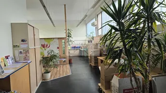 Expose Lukrative Halle | Wohn/BüroräumlichkeitenFreistellplätze | Garagen |Klagenfurt