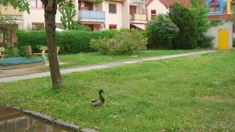 Expose VERMIETET! St. Peter: Sonnige Wohnung mit kleiner Süd-Westterrasse und TG nächst Murpark