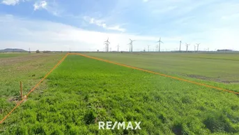 Expose Ortsrandlage 2 Grundstücke mit ~ 2 ha 6,5 € / m² FP